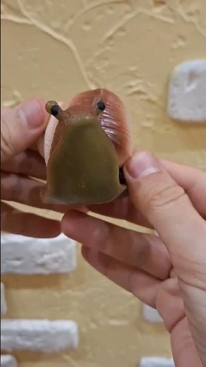 Snail: Real or Fake?