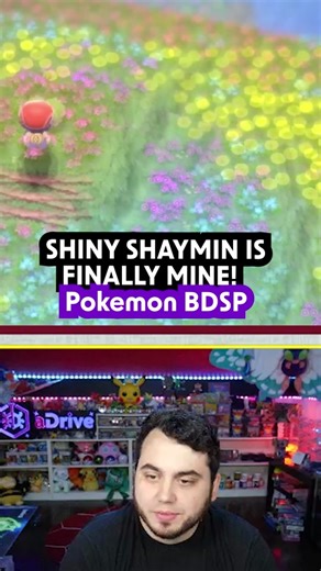 Shiny Shaymin Encounter in Pokemon BDSP!