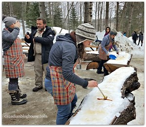 14 Reasons Why You Should Visit Parc Omega In Winter