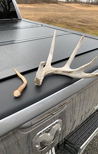 16K views · 107 reactions | Myth - Correctly aging Deer by size of antlers | The Canadian Tradition | Facebook