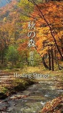 Autumn Forest (Kashima River) and Violin, Viola, Cello