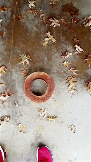 dropping of a metal disc sound effect