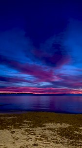 Je n’ai pas les mots ce matin #cannes #CotedAzurFrance | René Tombarel