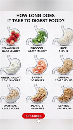 How Fast Do Foods Digest? 😱 #digestion #health #nutrition #foodfacts #shorts