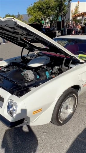 1974 Pontiac Trans Am 455 Engine 🤍🤍 #pontiactransam #musclecar #shorts #pontiac #restomod #classiccar #musclecar #hotrod #protouring #classicsdaily #streetrod #streetcar #customcar #musclecardaily #classiccars #customcars #musclecars #americanmuscle #hotrodsandmusclecars #classicmuscle #musclecarsonly #musclecarzone | Best Muscle Cars