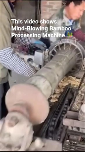 How Bamboo is Processed: From Forest to Factory