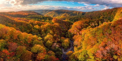 40 November Quotes That Will Make You Thankful for Fall