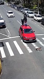 186K views · 1.3K reactions | Respect Amazing People #shorts #happyvasu #tamilshort #fact #amazingfacts #trending #funny #respects #funny #fun #respect #reels #ronaldo #trending #trendingreels #trendingvideo #tiktok #trendingviral #trendingreels #memes #satisfying #respectfully #amazing #fyp #reels #explore #shorts #viral #stunt #amazingrespect | Happyvasu | Facebook