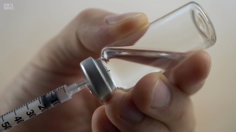 How To Survive a Black Mamba Attack