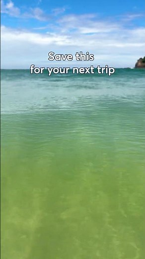 Freedom Camping at Matapouri Bay: What You Need to Know - On the road with Wilderness Motorhomes