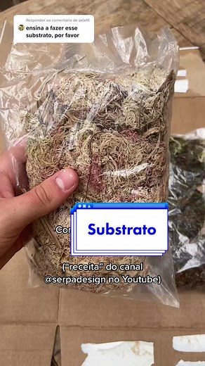Como fazer substrato tropical para terrário DIY