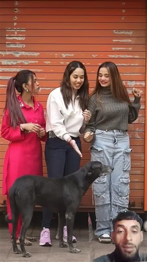 #https://youtube.com/shorts/7z3sau_IFc8?si=💯♥️v45zak2pbCllMx_z🥰 #comedy #funny