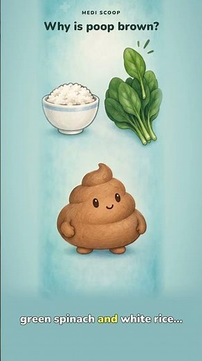 Why Is Poop Brown? The Surprising Science of Poop Color 💩