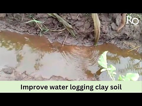 How to improve waterlogged clay soil : How to improve water drainage in clay soil