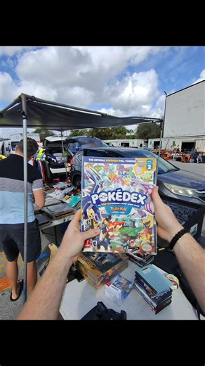 POV: I found some cool pokemon stuff at the flea market