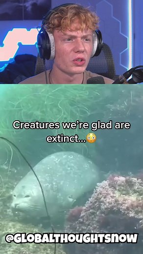 Creatures We're Glad Are Extinct! 😨 #reactions#munson#fypシ | Arthropleura