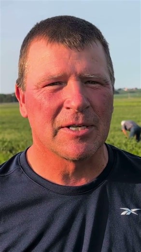 Organic farming meets robotic weeders: A game-changer in midwestern fields