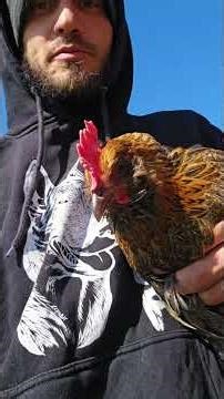 WHO ARE YOU!? #WhittAcres #enjoynaturetoday #homesteadinglife