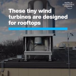 20K views · 847 reactions | Could these turbines be a game-changer for rooftop renewable technology? Learn more about 'green roofs': https://ow.ly/Gk7k50PVHjF #GFC23 | World Economic Forum | Facebook