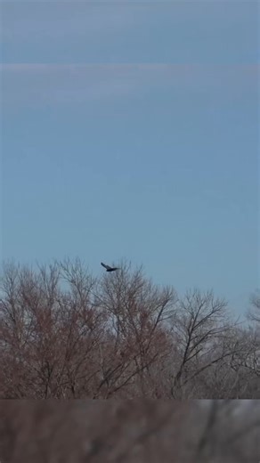 2.8K views | We Attempt To Repair This 1950's Barn, Is It Too Far Gone? Part 4 | Officialduckstudios | Facebook