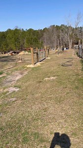 Time to clean the place up. #iamlarrybjr #homesteading #countryliving #farmlife | Larry Brown Jr.