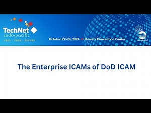 The Enterprise ICAMs of DoD ICAM