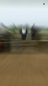 1.3M views · 10K reactions | Is Bull Really Aggressive On Red Color | FactSheetor | Facebook