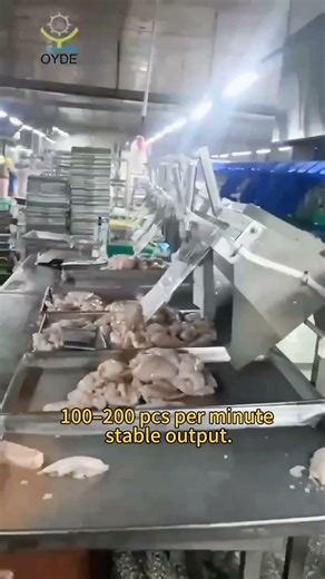 Automatic Chicken Breast Weight Sorting Machine | High-Speed Poultry Grading System