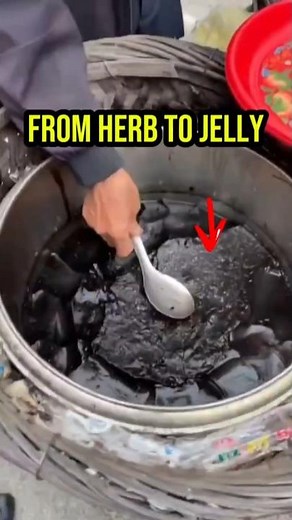 This Black Jelly Comes From a Plant