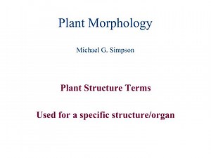 Plant Morphology Michael G. Simpson - SlideServe