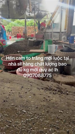 Video của Phát Hến (@pht.hn2) với bản nhạc nhạc nền - DƯƠNG MINH