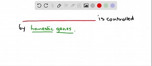 SOLVED:A homeotic gene regulates . a. where body parts form b. milk production c. secondary sexual traits d. sperm formation