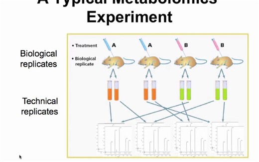 Metabolomic Data Analysis using MetaboAnalyst