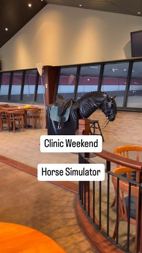 Myrte van Opzeeland on Instagram: "🇳🇱 De afgelopen dagen te gast geweest bij de prachtige locatie van @celebritystables om de dressuur- en springruiters van het Jeugd Stimulerings Plan bewuster te laten worden van hun houding en zit 🐴 Hoe beweegt het paard, hoe beweegt de ruiter en wat is de invloed daarvan? Welke uitdagingen kom je tegen en hoe kun je die verbeteren? 💪🏻 Genoten van alle inzichten! 😃 🇬🇧In recent days I have been a guest at the beautiful location of @celebritystables to h