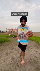 14K views · 99 reactions | @daya_karan @crops_information . . . #crop #farming #agriculture #khetibadi #information #dayakaranvlogs #vlogger #instagram #reels #trendingreels #videocreator #punjab #india | Dayakaran vlogs | Facebook
