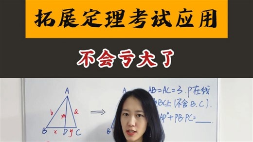 斯图尔特定理