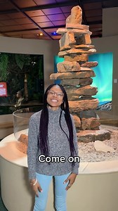 2.2K views · 35 reactions | Houston Museum of Natural Science on Reels | Facebook