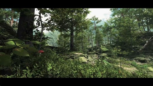 Unity森林路径_HDRP