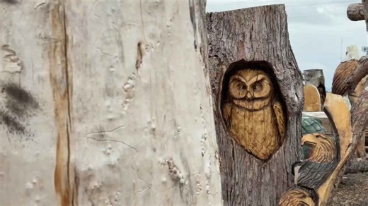 Chainsaw artist finds inspiration — and Bigfoot — near the Flatirons