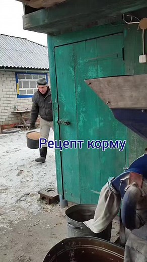 Grain Processing and Storage Techniques Explained