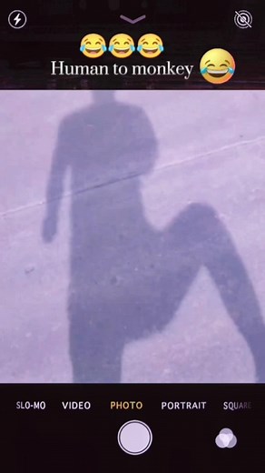 #funny #funnyvideo #fyp #thedollar The evolution from man to monkey.😂😂😂