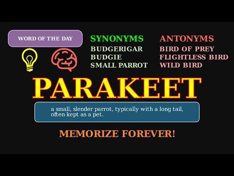 Parakeet: The Word for a Popular Pet Bird 🦜 A Zoology & Pet Care Term