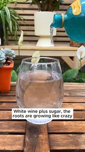 93K views · 967 reactions | 4 simple, easy-to-follow plant watering recipes #gardeninggoals #gardeningproblems #gardeningphoto #gardeninglove #gardeningtips | Gardening Tips | Facebook