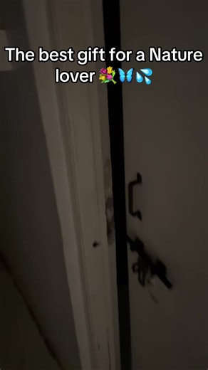 So glad I got this projector! Love watching my fav shows on my ceiling 🙌🏾 #roomfinds #tv #projector #earlychristmaspresent