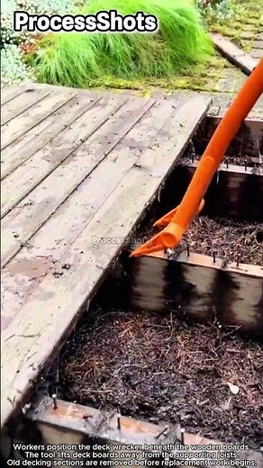 Deck Board Removal for Wooden Deck Replacement #process #worker