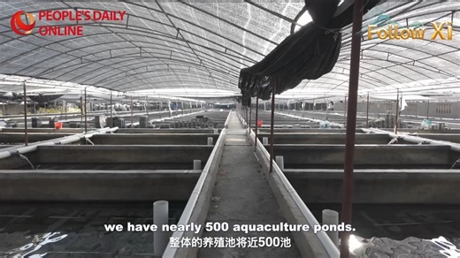 Twenty Years of Green Progress: Blue Seas and Clean Beaches are Invaluable Assets Since the 18th National Congress of the Communist Party of China (CPC) in 2012, Aojiao village, surrounded by the sea on three sides in Chencheng town, Dongshan county, Zhangzhou city, southeast China's Fujian Province, has blazed a new path to prosperity by ensuring a sound #ecologicalenvironment and developing five pillar industries: ocean fishing, aquaculture, seafood processing, e-commerce, and #ruraltourism. T