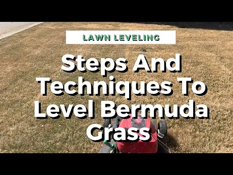 Simple Steps And Techniques To Level Your Bermuda Lawn