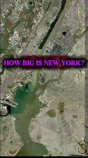 How big is New York?