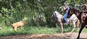 Don Melvin Geronimo | Isaias Ixpec