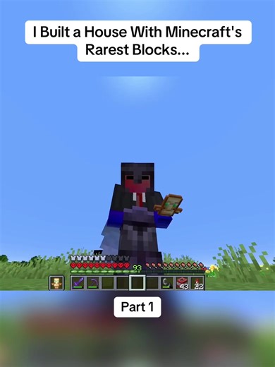Building a House with Minecraft's Rare Block Materials